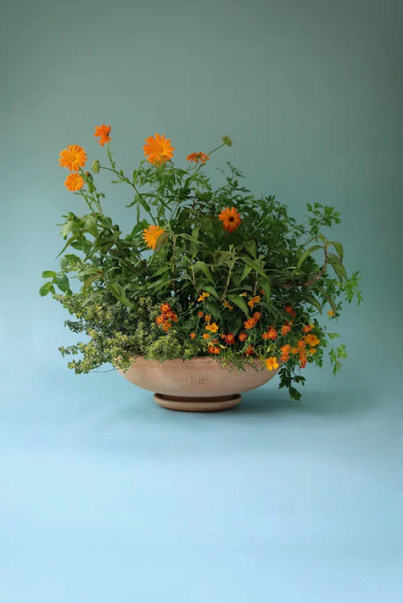 Bergs Potter - ruukku Ada RAW Rosa, Ø 30 cm