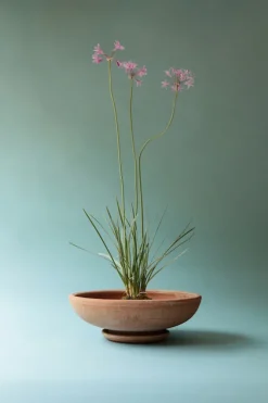 Bergs Potter - ruukku Ada RAW Rosa, Ø 30 cm