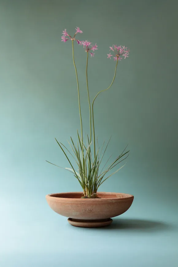 Bergs Potter - ruukku Ada RAW Rosa, Ø 30 cm