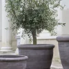 Bergs Potter - ruukku Campana RAW Grey, Ø 60 cm