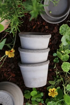 Bergs Potter - ruukku Parade RAW Grey, Ø15 cm