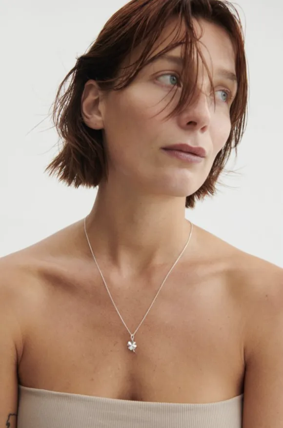 Clover apilariipus, hopea