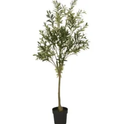 Ib Laursen - Oliivipuu L h166cm