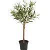 Ib Laursen - Oliivipuu S h75cm