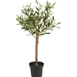 Ib Laursen - Oliivipuu S h75cm