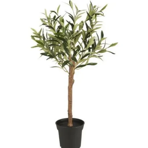 Ib Laursen - Oliivipuu S h75cm
