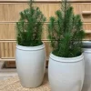 Tine K Home - Korkea ruukku 33cm, valkoinen