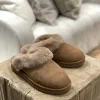 UGG - Classic slipper II, chestnut